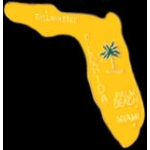 FLORIDA PIN FL STATE SHAPE PINS
